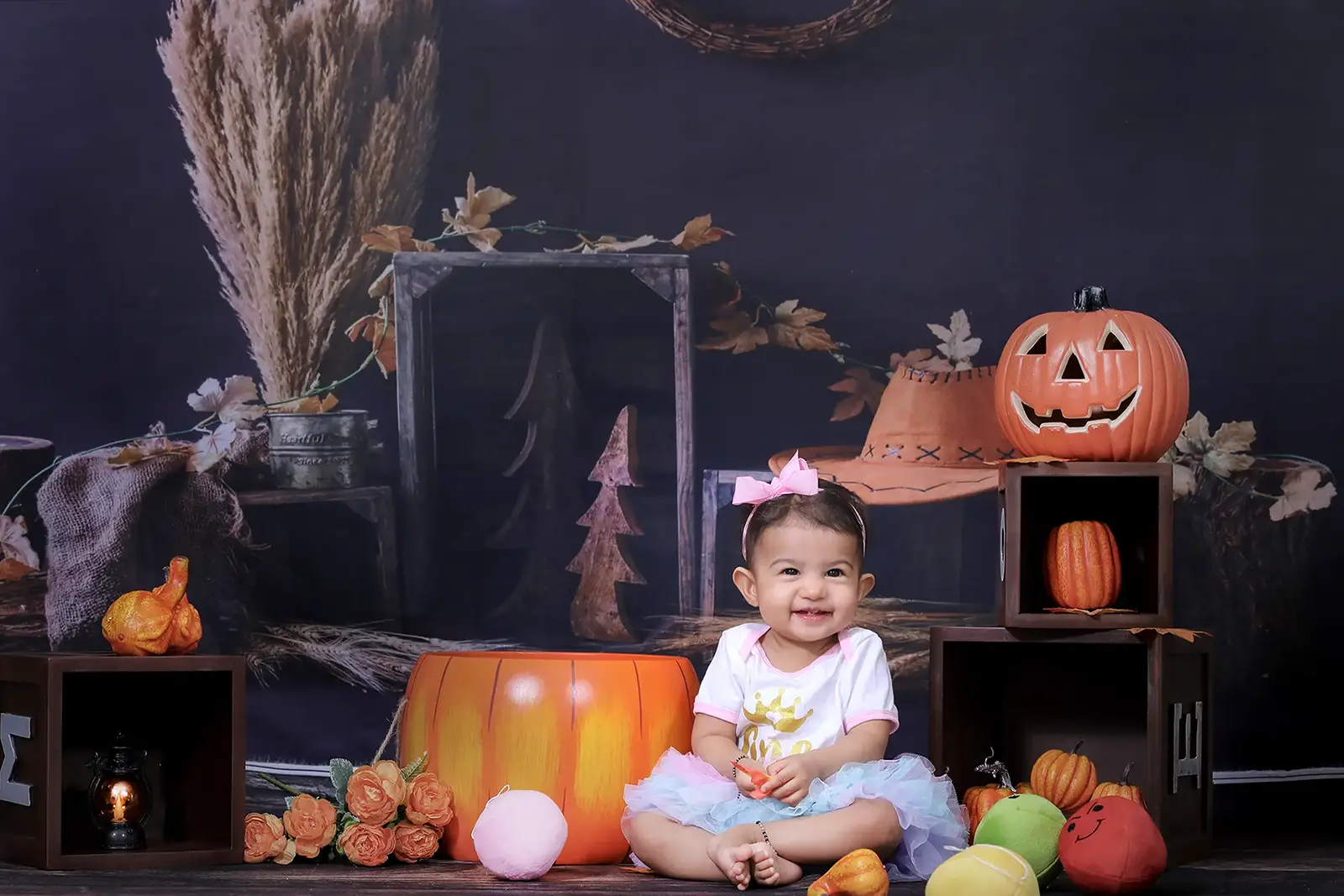 https://dx21q3b76hjv4.cloudfront.net/images/new/themes/pumpkin/baby-photoshoot-pumpkin-theme.webp