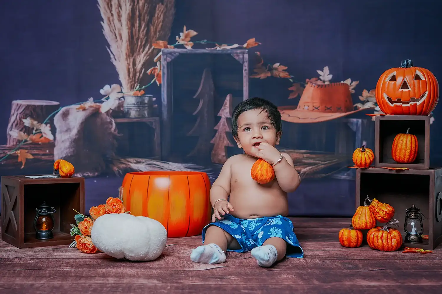 https://dx21q3b76hjv4.cloudfront.net/images/new/themes/pumpkin/baby-photoshoot.webp